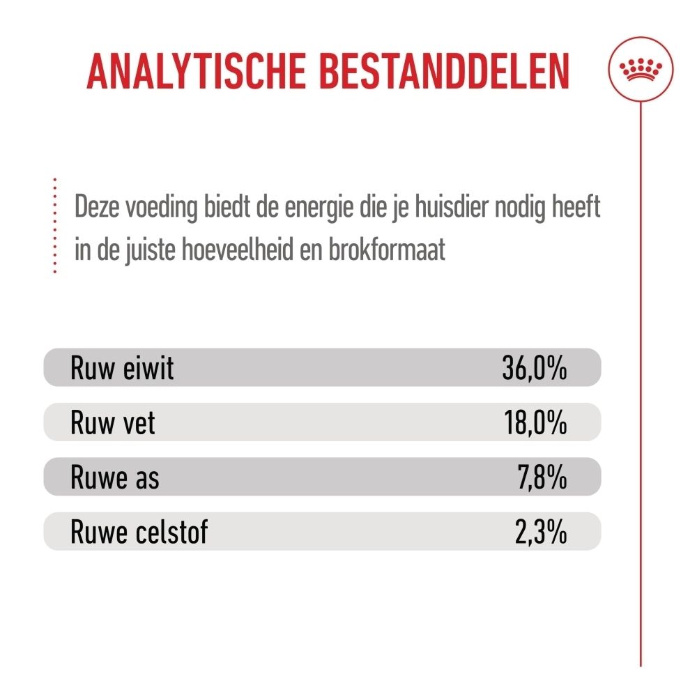 Royal Canin Kitten voer. Analytische bestanddelen met percentages ruw eiwit, ruw vet, ruwe as en ruwe celstof.