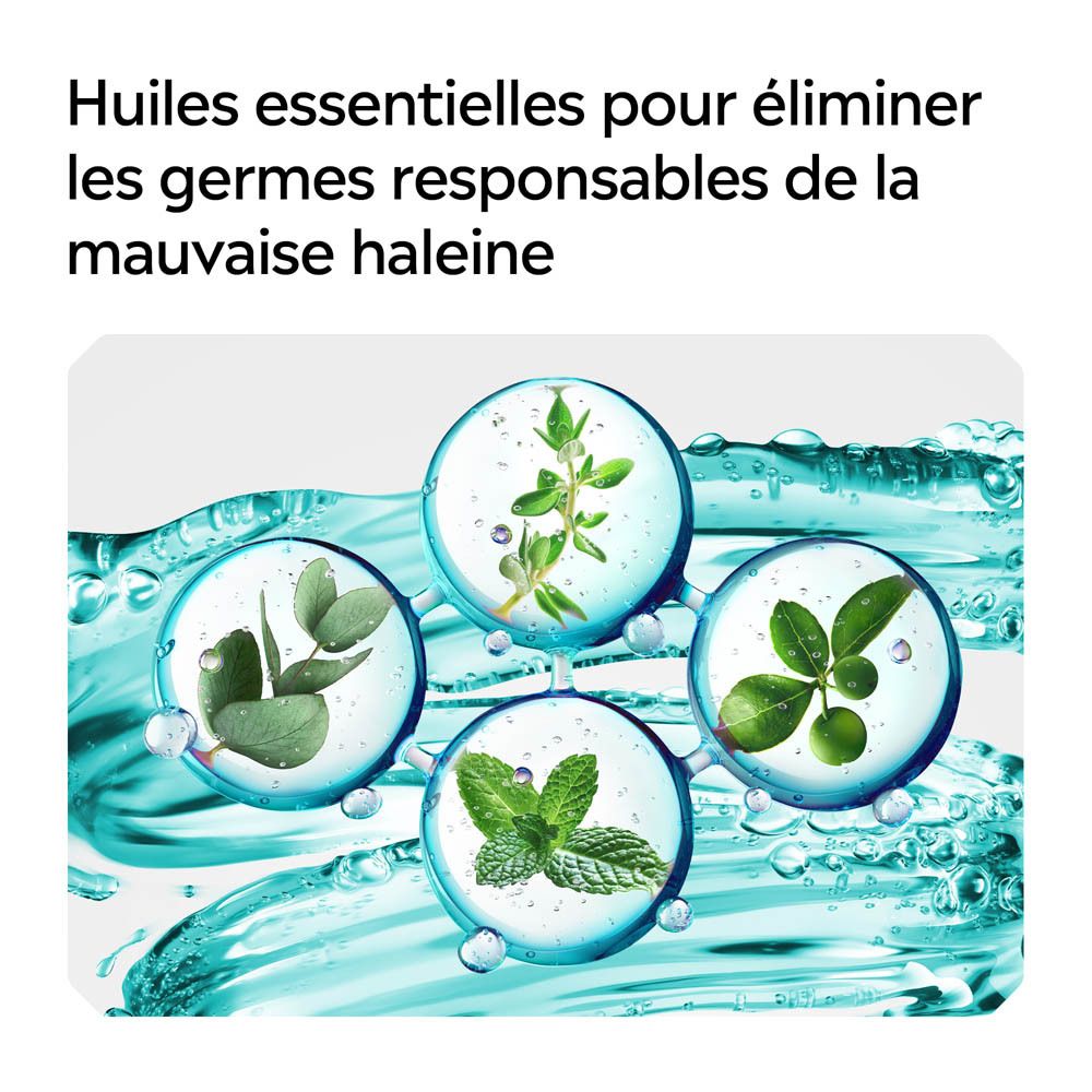 Bain de bouche Listerine Cool Mint. N°1 des bains de bouche en Belgique et aux Pays-Bas.