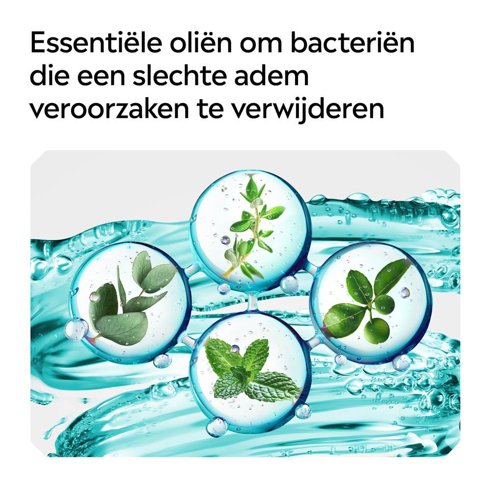 Listerine Cool Mint mondspoeling. Nr. 1 mondwater in België en Nederland.