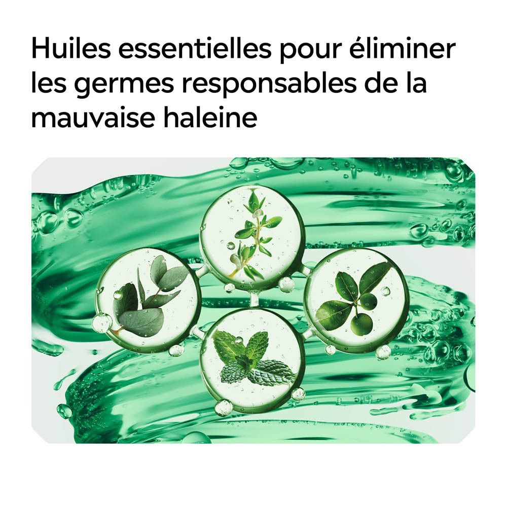 Huiles essentielles. Texte: Huiles essentielles pour éliminer les germes.