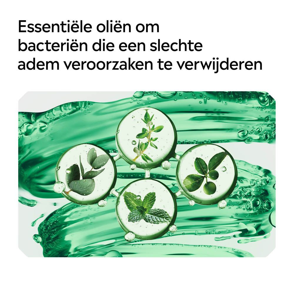 Essentiële oliën. Tekst: Essentiële oliën om bacteriën te verwijderen.