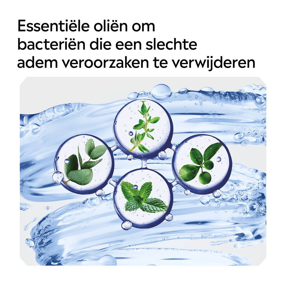 Essentiële oliën om bacteriën te verwijderen die een slechte adem veroorzaken. Waterbellen.