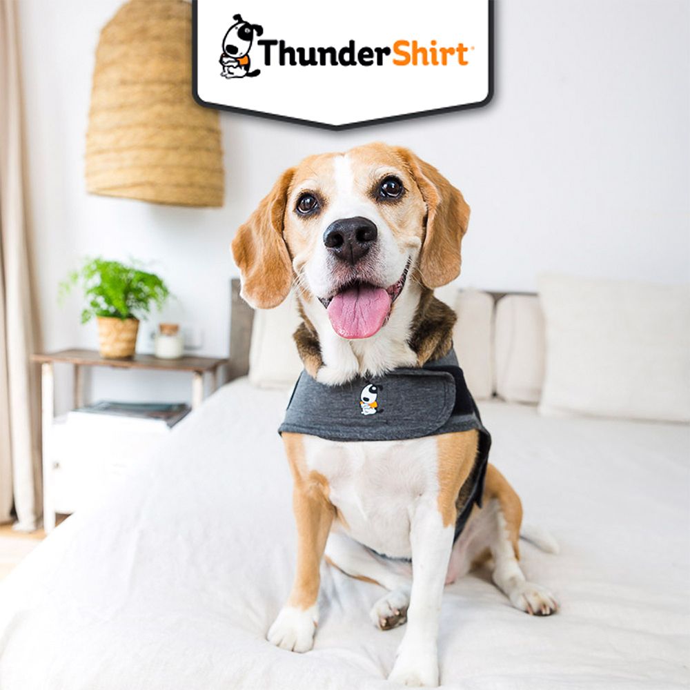 ThunderShirt® Large 18-29 kg