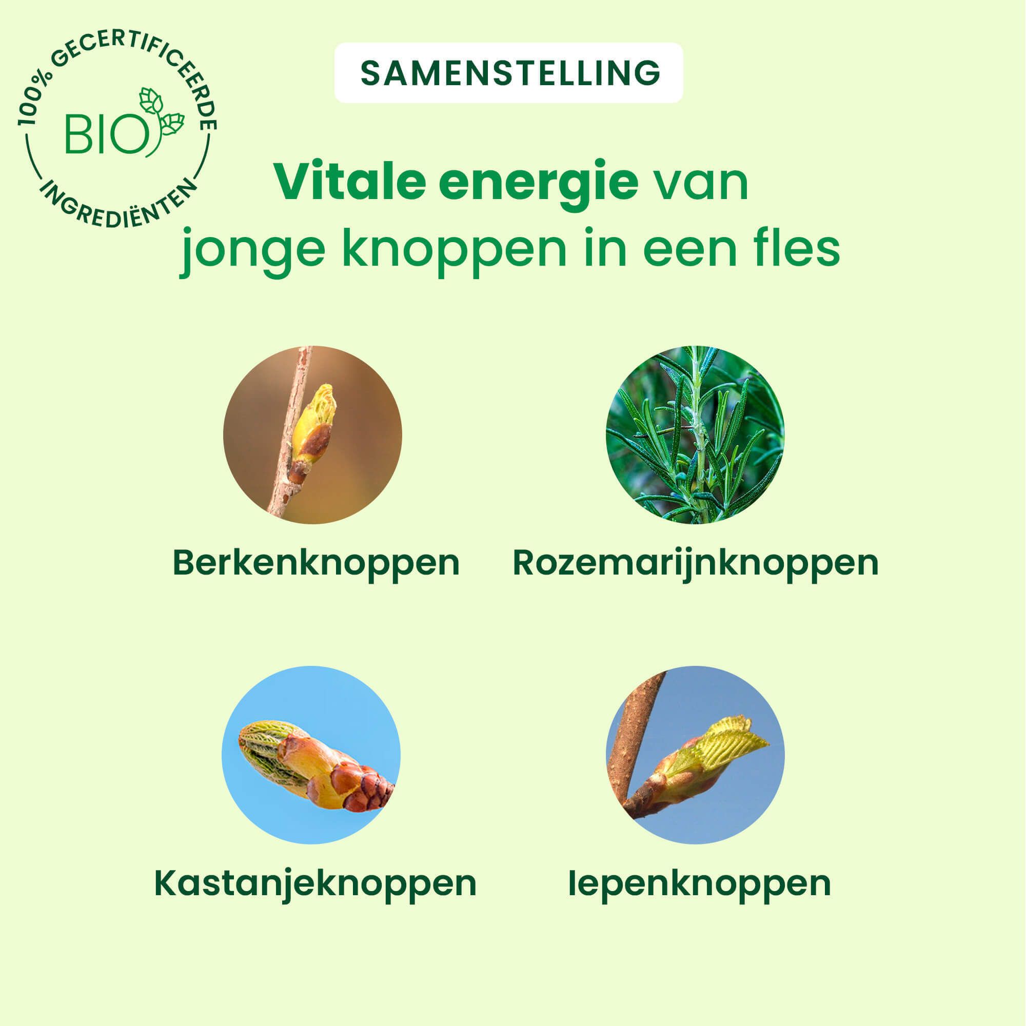 Doos Detox Express, 7 dagen. Bevat 5 verse knoppen. Bio-certificering. Extra certificeringen.