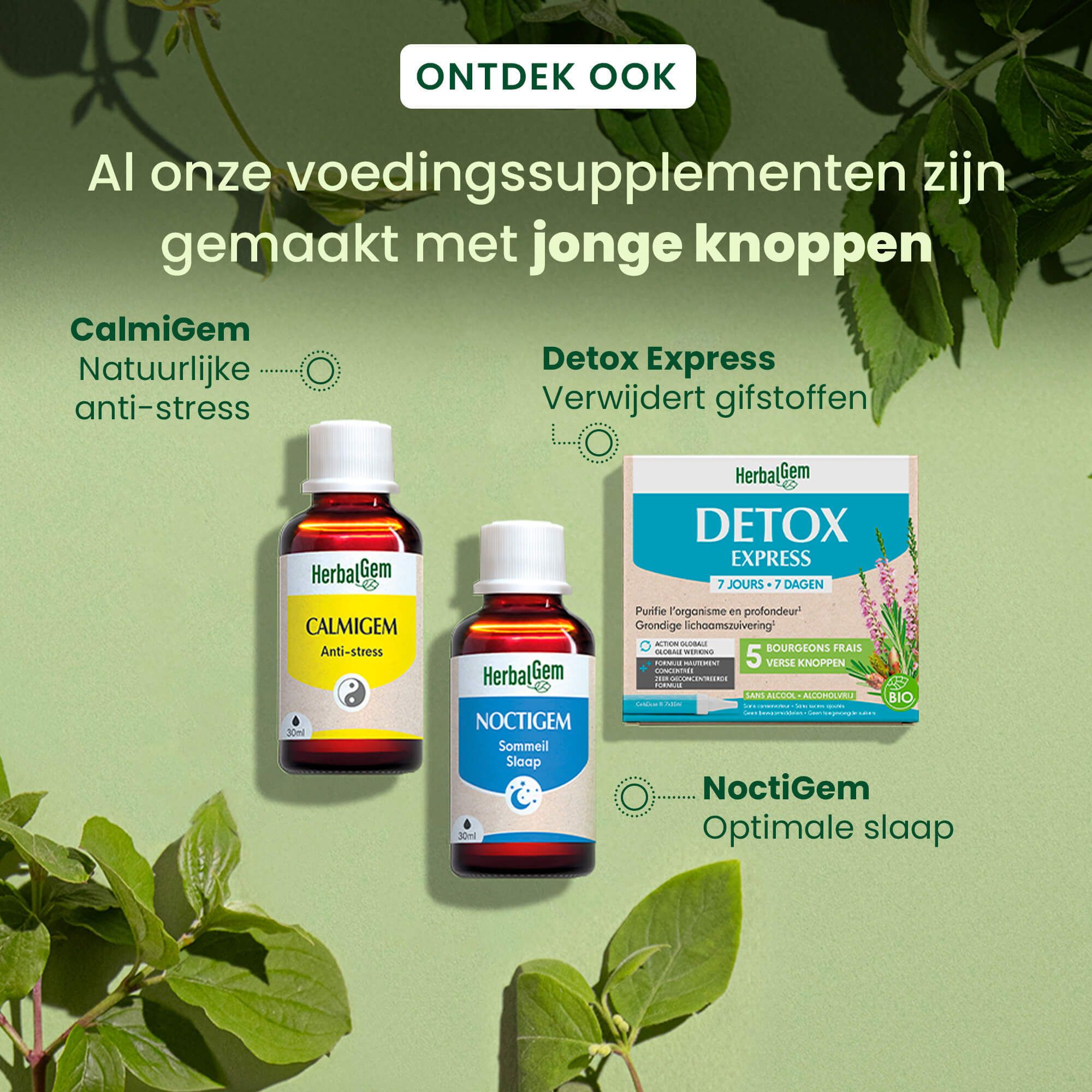 Doos Detox Express, 7 dagen. Bevat 5 verse knoppen. Bio-certificering. Gebruiksaanwijzing.