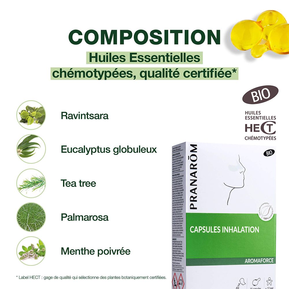 Tableau de composition. Huiles essentielles. Ravintsara, Eucalyptus globulus, Tea tree, Palmarosa, Menthe poivrée. BIO.
