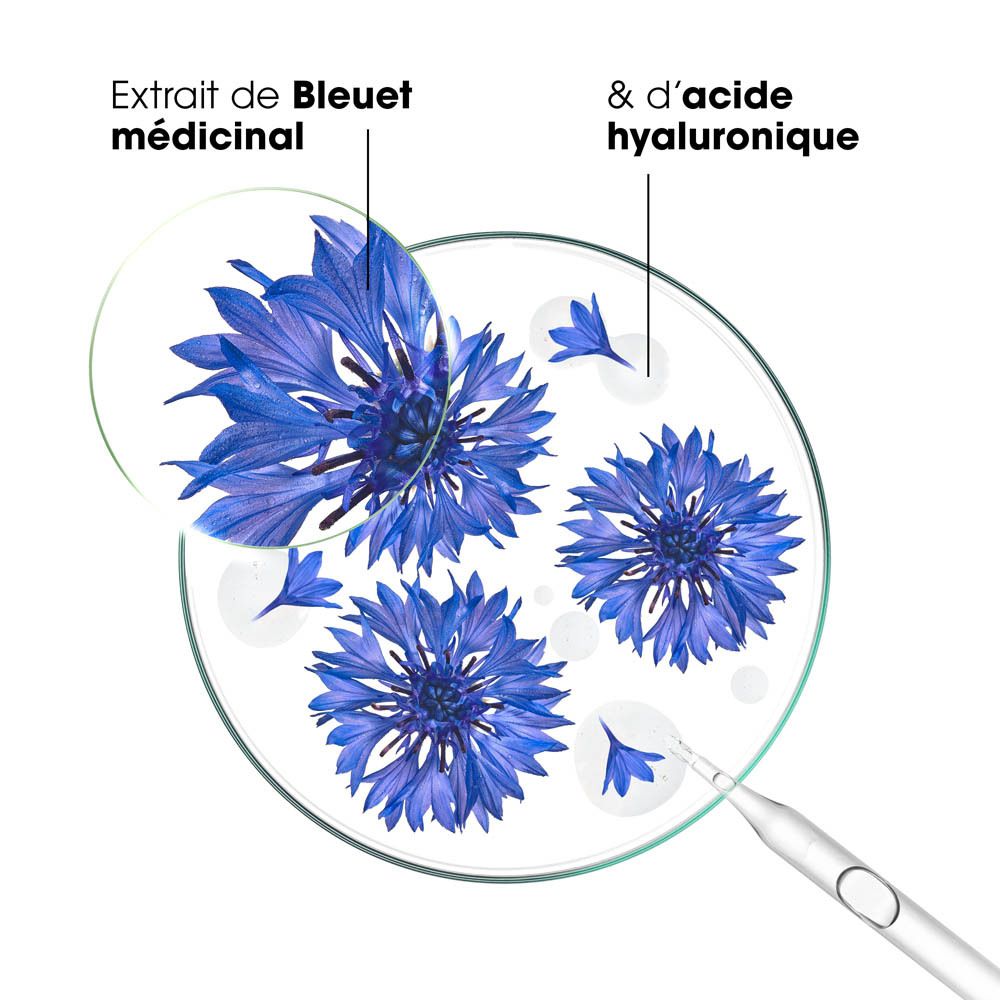 Gros plan sur les fleurs de bleuet et les ingrédients. Analyse du produit.