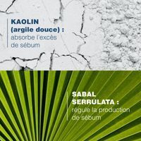 Ducray Sabal Argeal Shampooing Quotidien Sébo-absorbant