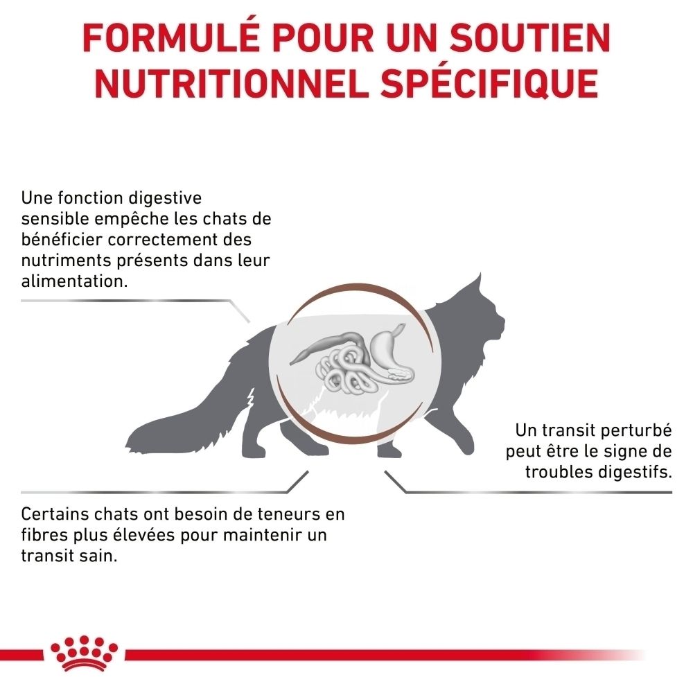 Illustration d'un chat mettant en évidence le système digestif. Montre les structures intestinales et explique les problèmes digestifs.