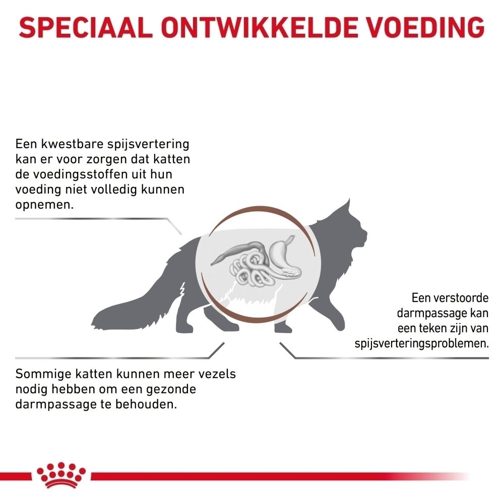 Illustratie van een kat met de spijsvertering in detail, die problemen met voedingsstofopname toont.
