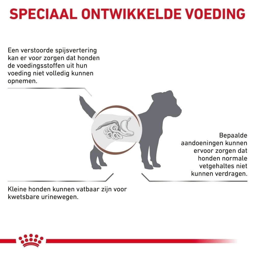 Grafiek: Spijsverteringsstelsel van een hond met uitleg over spijsverteringsproblemen.