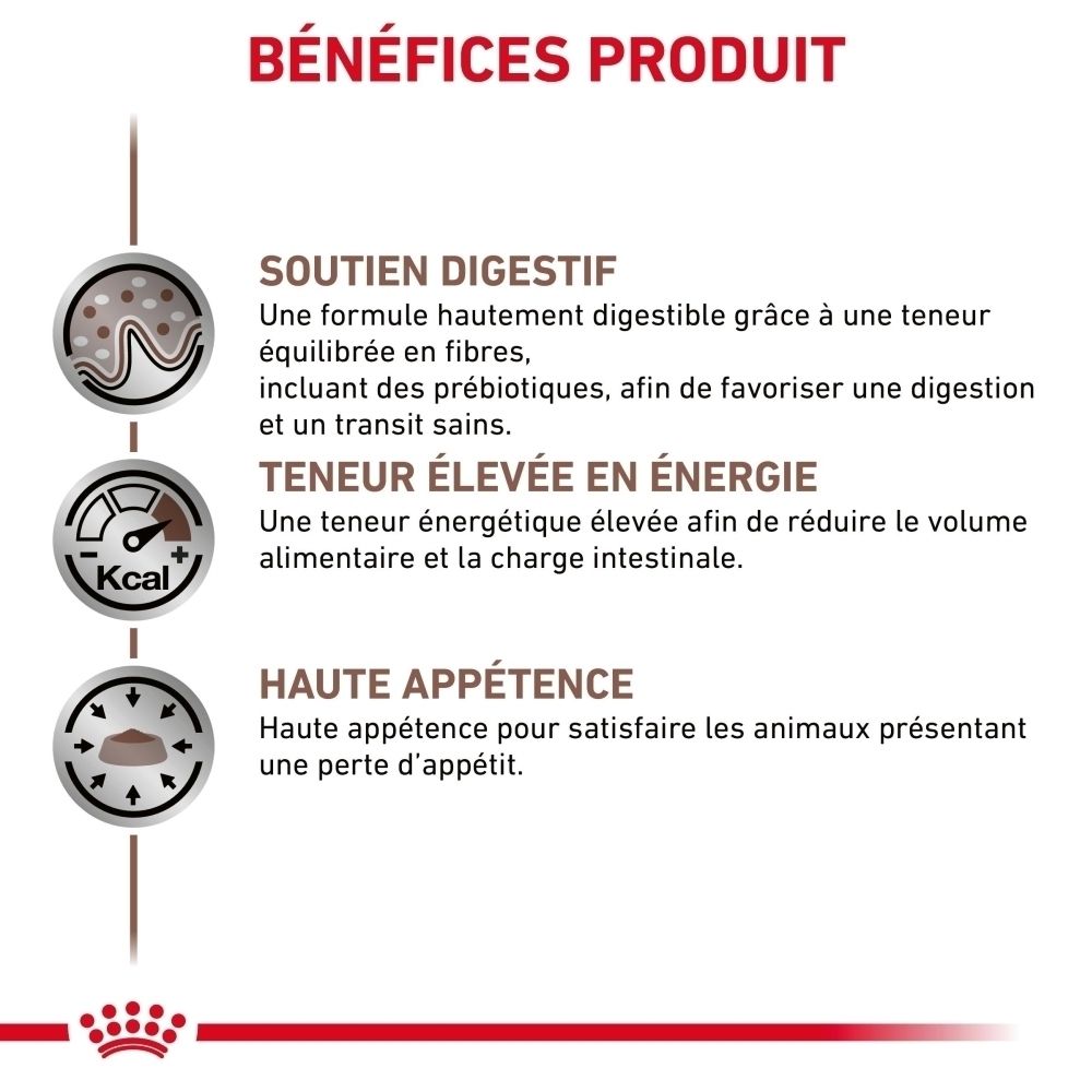 Nourriture Royal Canin Gastrointestinal pour chien en conserve, vue latérale avec informations produit.