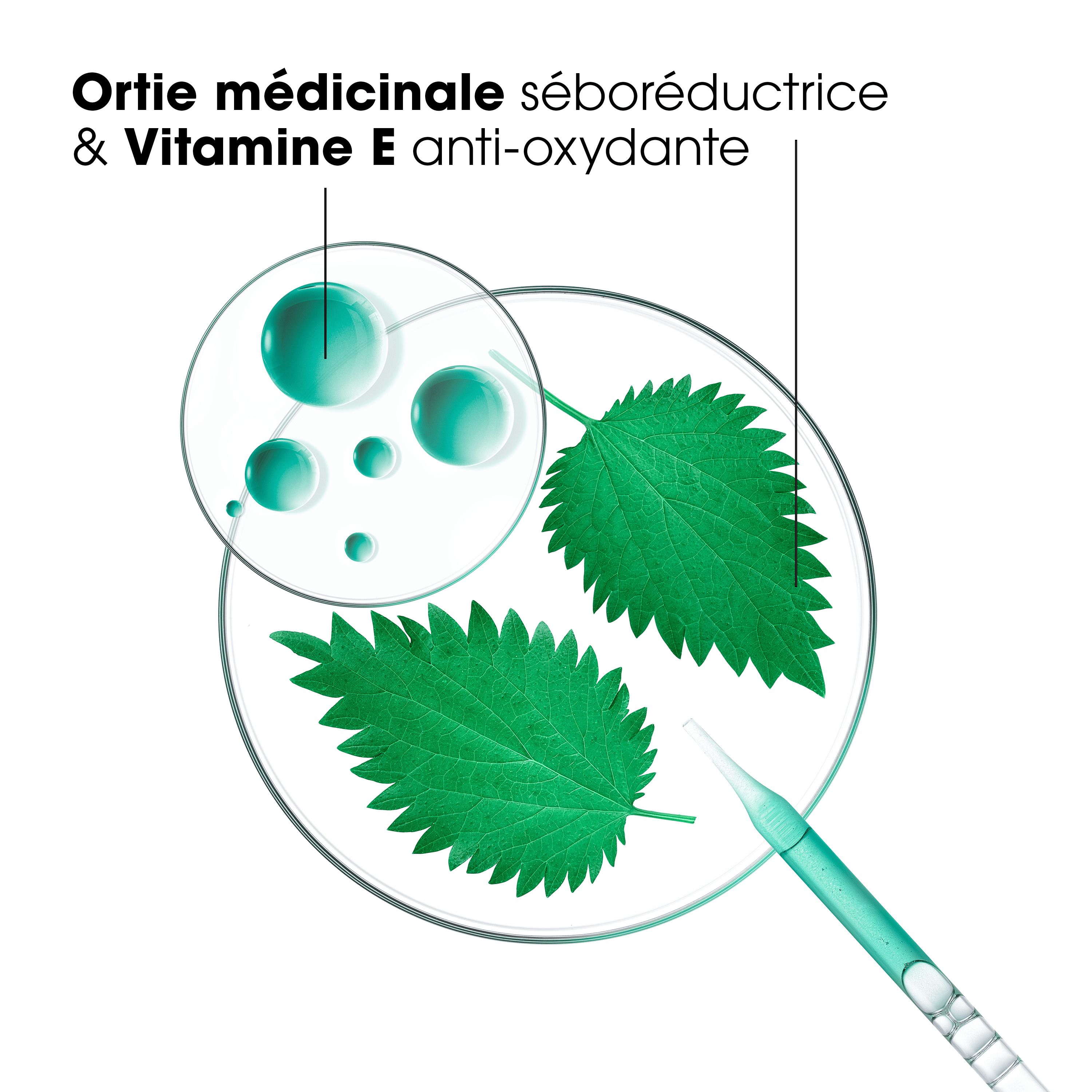 Graphique avec ingrédients: Ortie médicinale séboréductrice & Vitamine E anti-oxydante.