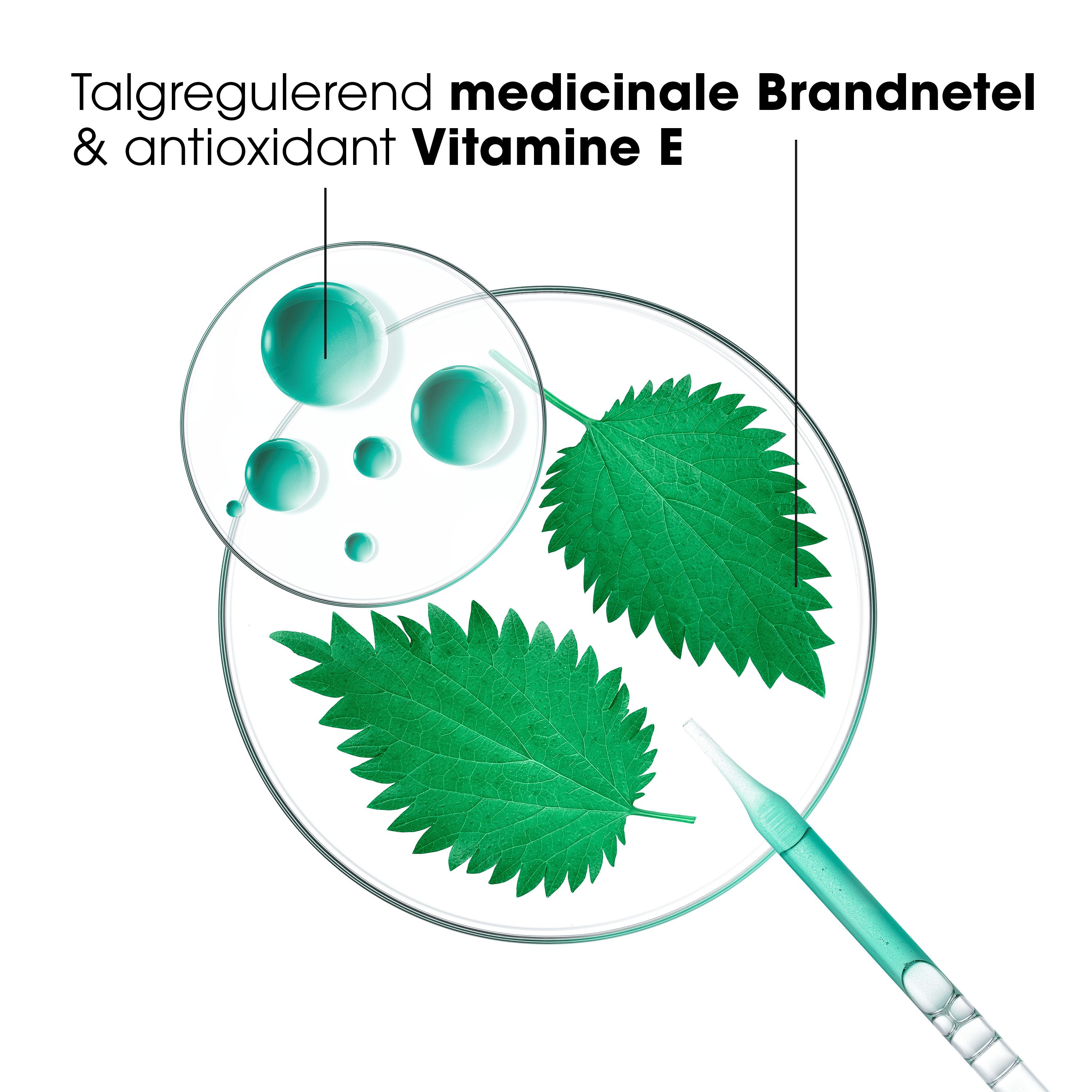 Grafiek met ingrediënten: Talgregulerend medicinale Brandnetel & antioxidant Vitamine E.