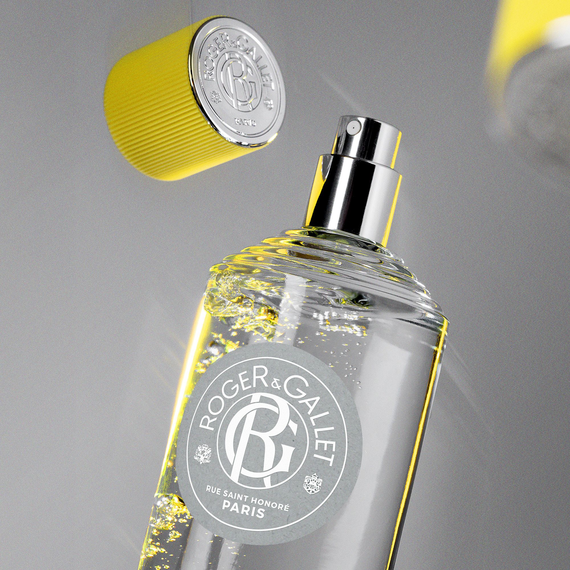 Boîte grise. Roger & Gallet, Rue Saint Honoré Paris. Cologne Twist.