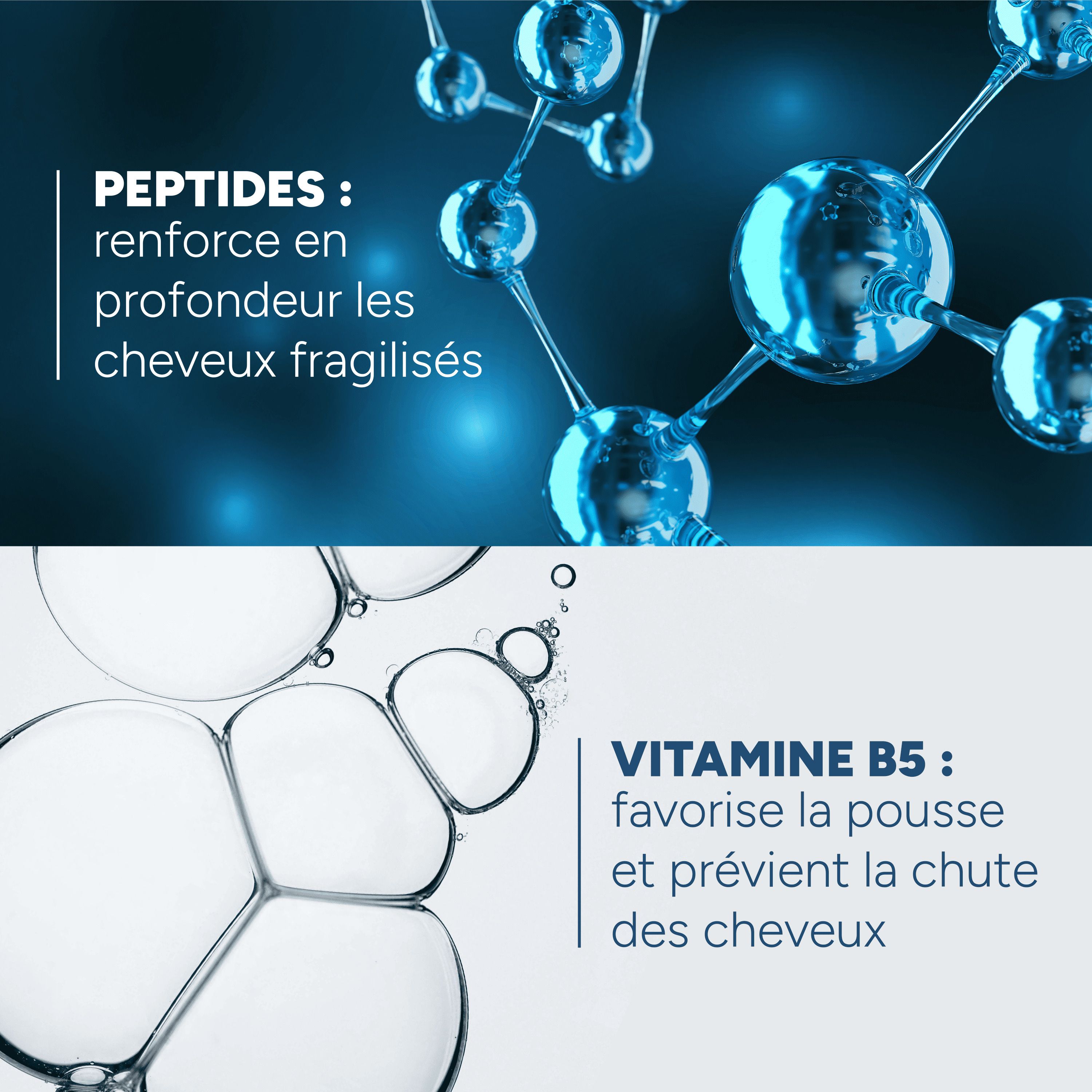 Gros plan sur molécules et mousse. Texte: Peptides renforcent, vitamine B5 favorise la pousse.