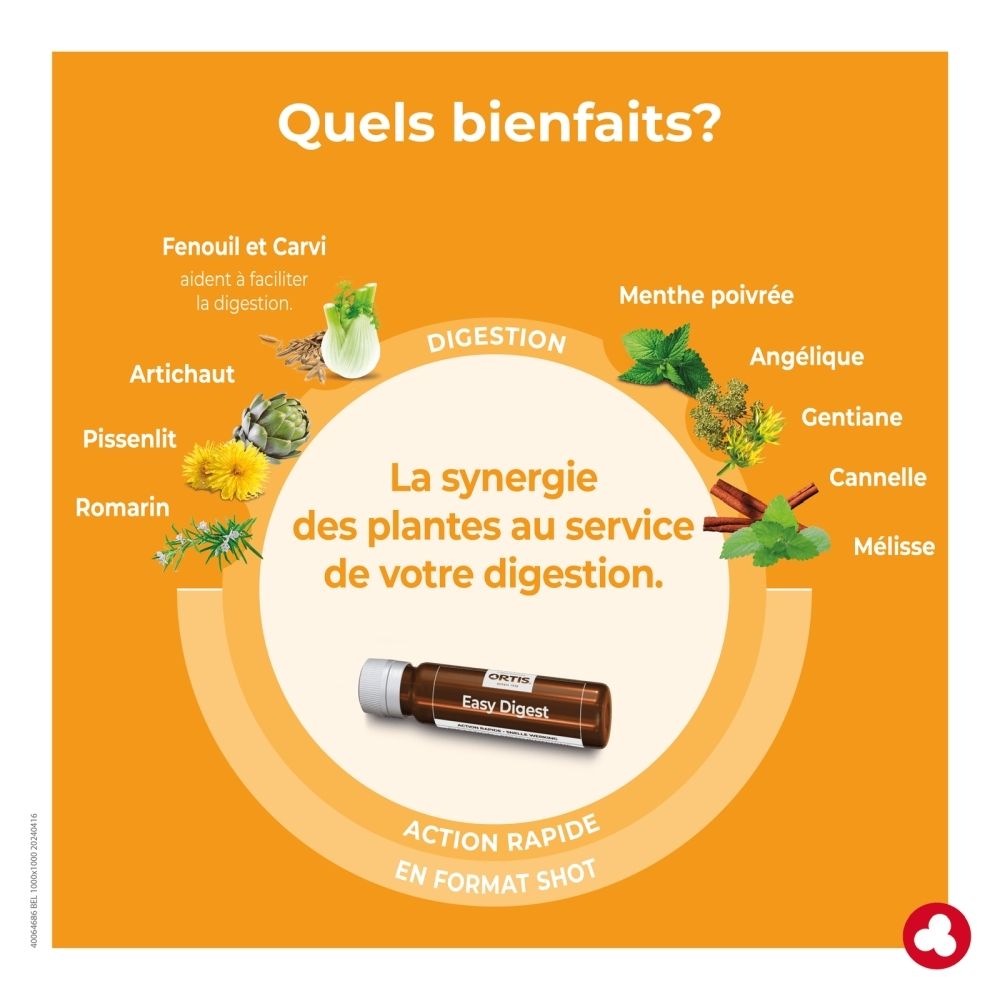 Boîte Ortis Easy Digest, verso avec instructions d'utilisation et ingrédients.