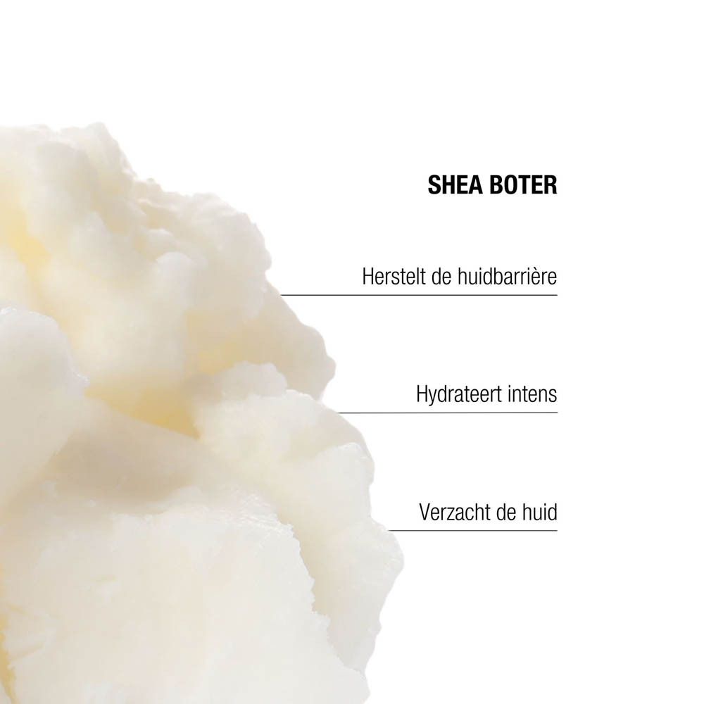 The Remedy Laboratories Age Repair Moisturizer