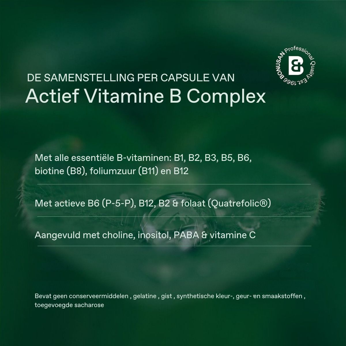 Samenstelling per capsule: B-vitaminen, B1, B2, B3, B5, B6, biotine (B8), Foliumzuur (B11) en B12. Met choline, inositol, PABA.