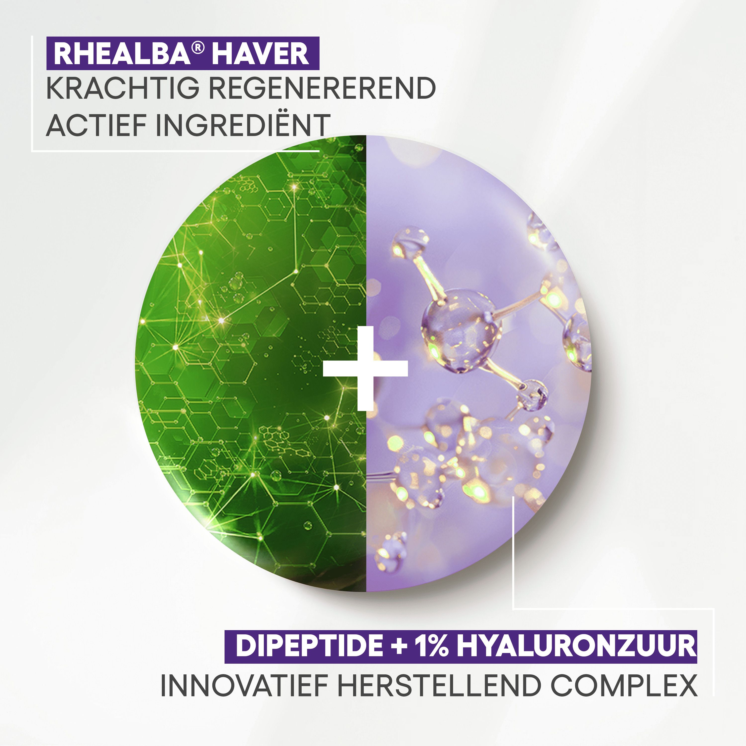 Cirkeldiagram. Groene en paarse achtergrond. Tekst: Avoine Rhealba, Dipeptide + hyaluronzuur.