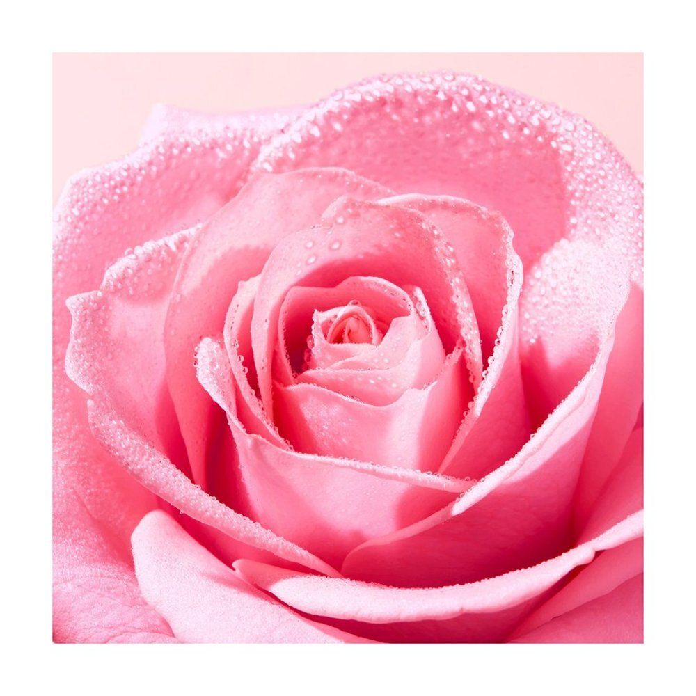 Bouteille d'eau micellaire Nuxe Very Rose, 100ml, avec motif de rose.
