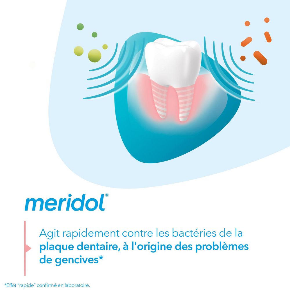 Modèle de dent avec gencives. Logo meridol®. Agit rapidement contre les bactéries de la plaque. Cause des problèmes.