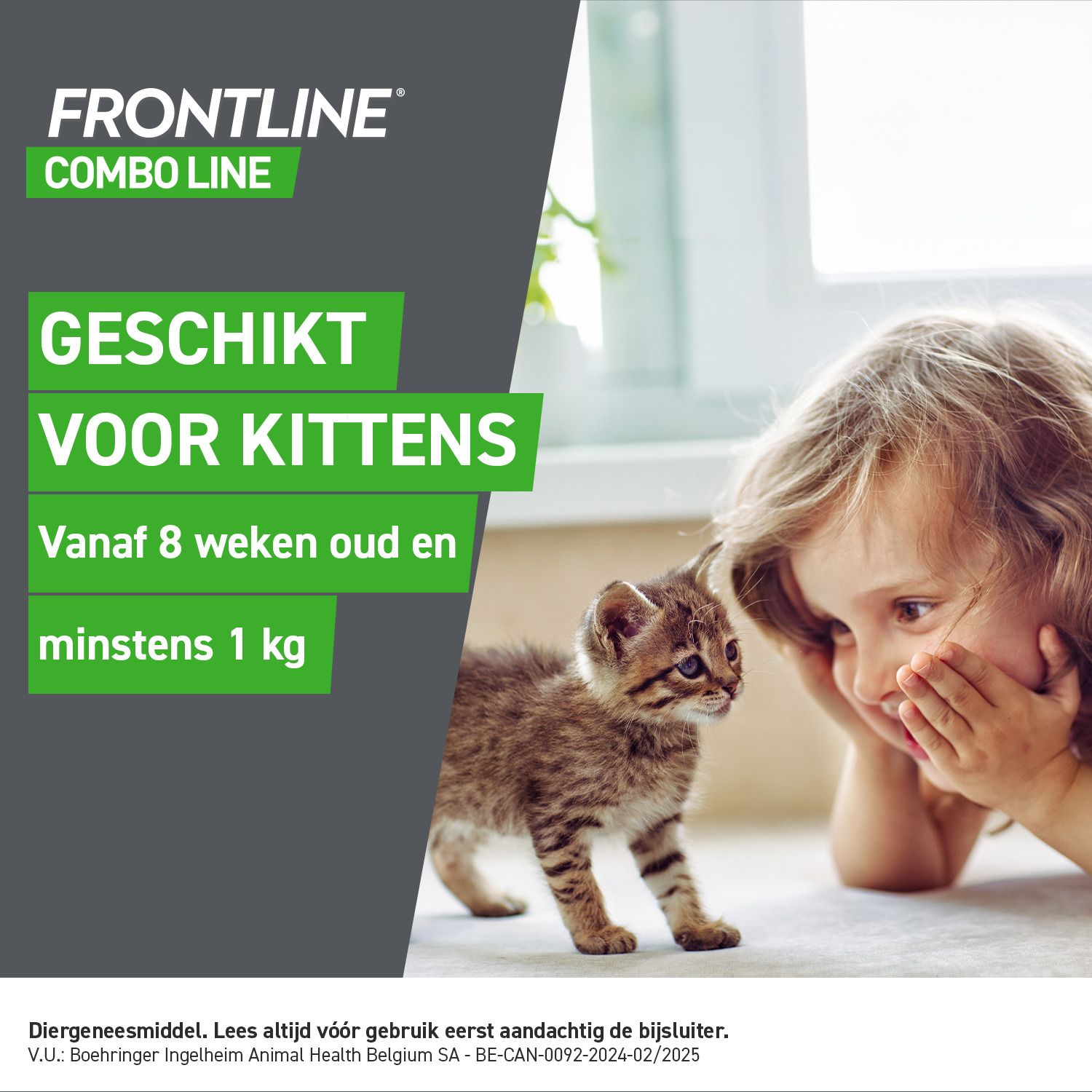 FRONTLINE COMBO LINE CAT verpakking met kat, pipetten en Nederlandse tekst.