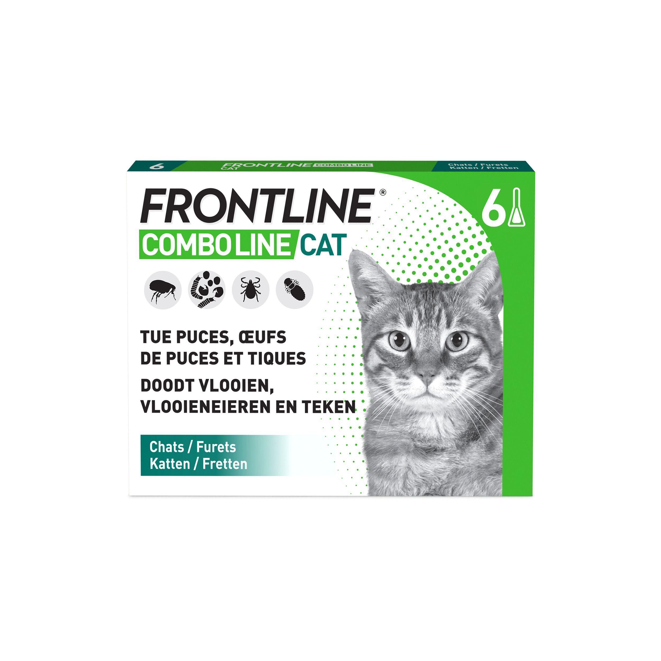 Verpakking FRONTLINE Combo voor katten, 6 pipetten. Toont een kat en tekst in het Frans.