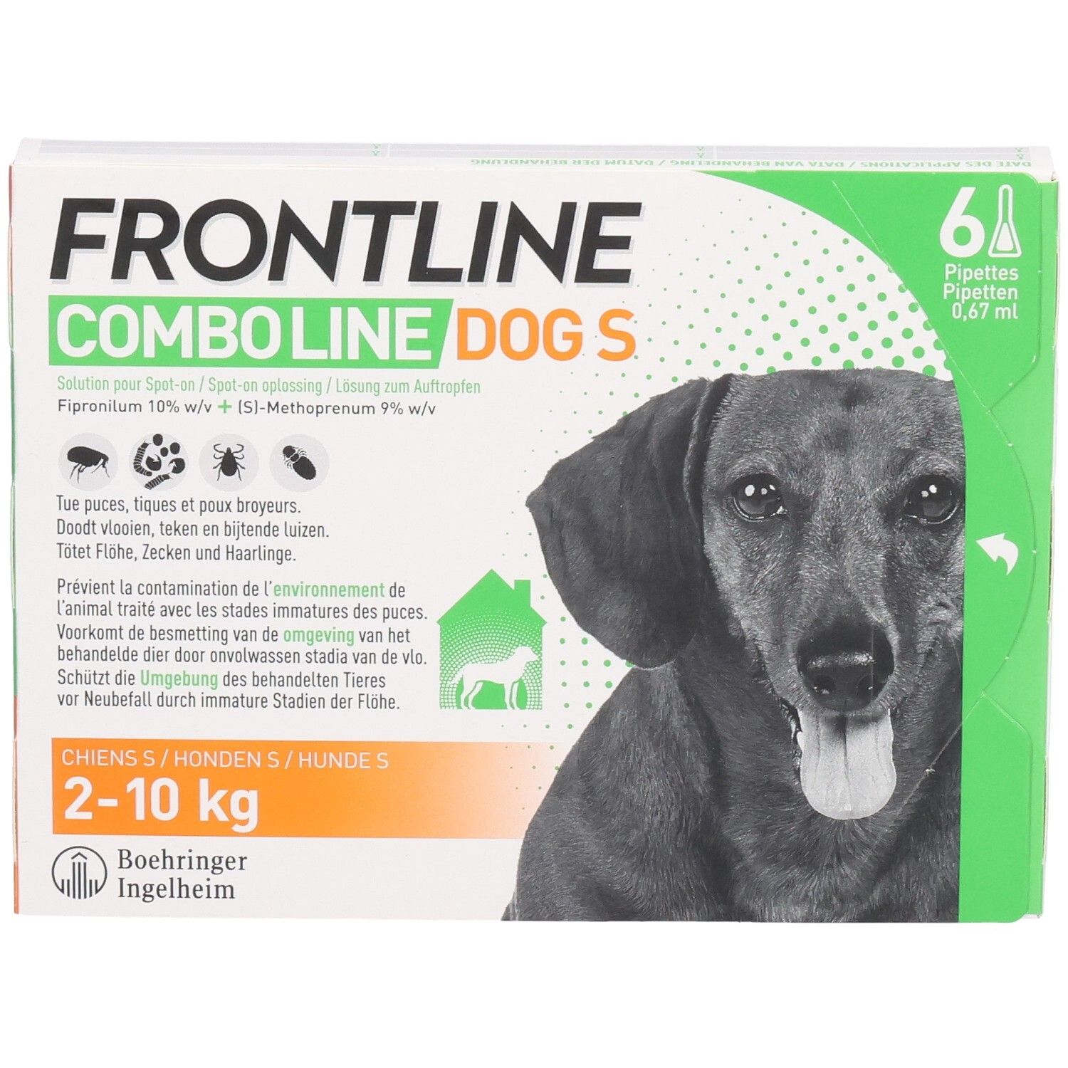 Frontline Combo Line Dog S verpakking. Bevat 6 pipetten voor honden van 2-10 kg. Afbeelding van een hond.