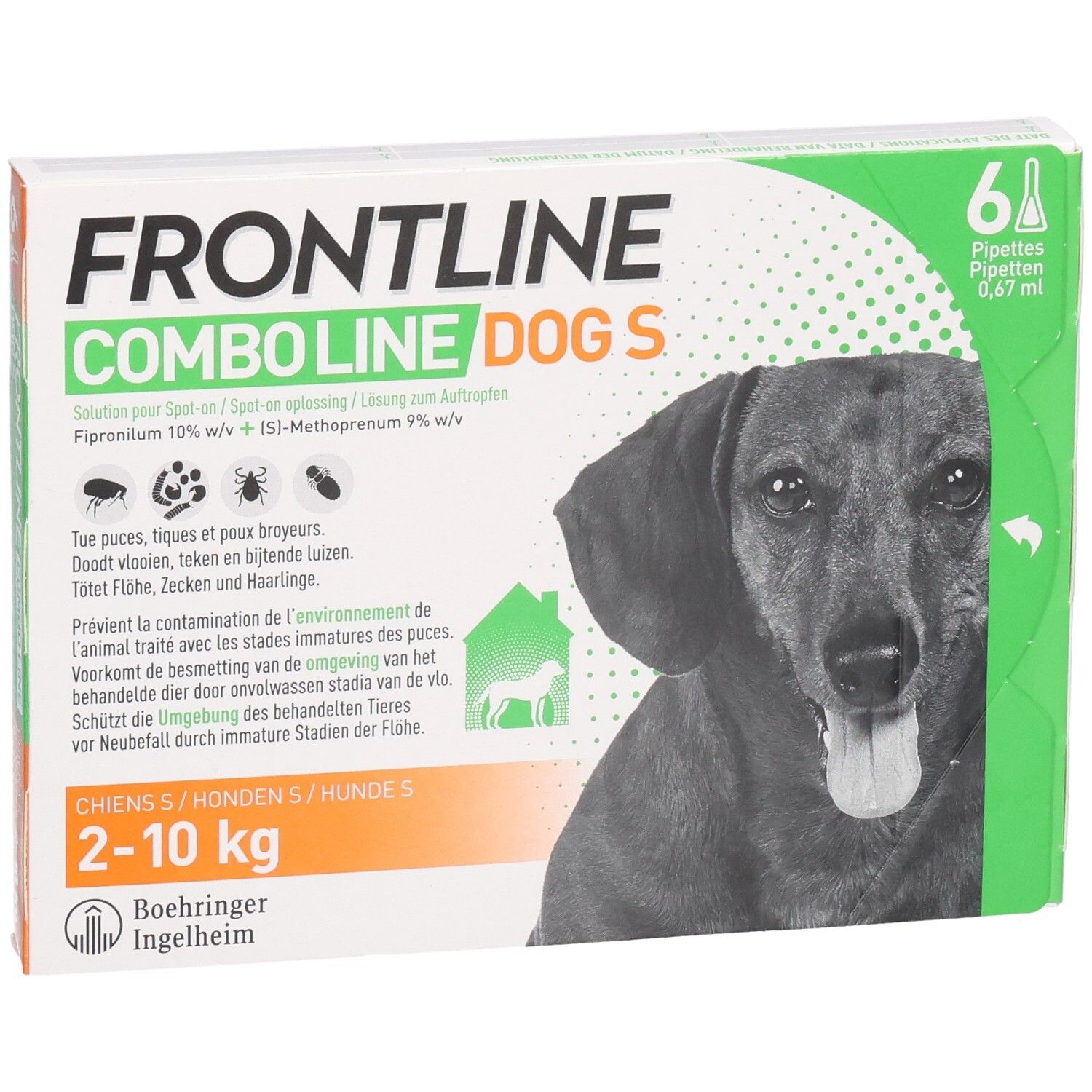 Frontline Combo Line Dog S verpakking. Bevat 6 pipetten voor honden van 2-10 kg. Afbeelding van een hond.