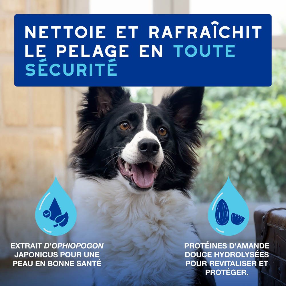 Chien avec mousse. Texte : Le soin ultra-sûr pour votre chien. 97% d'ingrédients naturels, 0% d'ingrédients controversés.