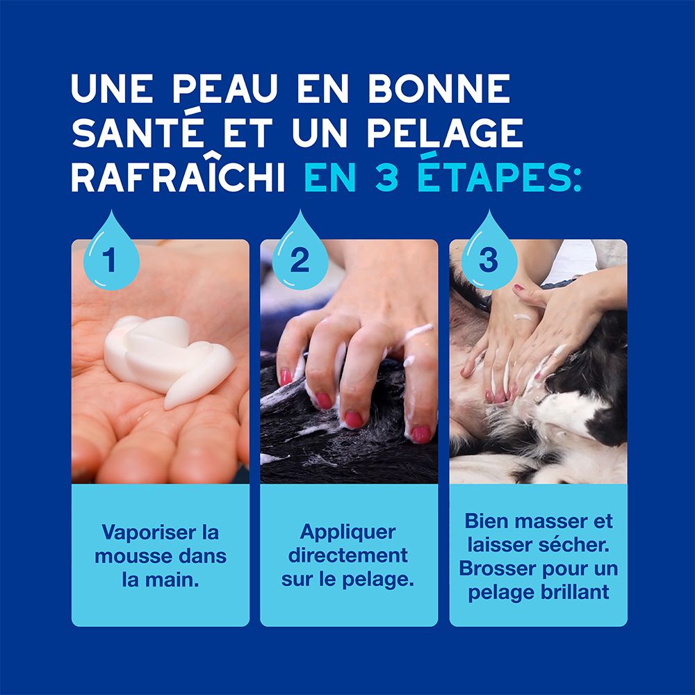 Chien sur les genoux. Texte: Facile à appliquer, laisse le poil doux, brillant et agréablement parfumé.
