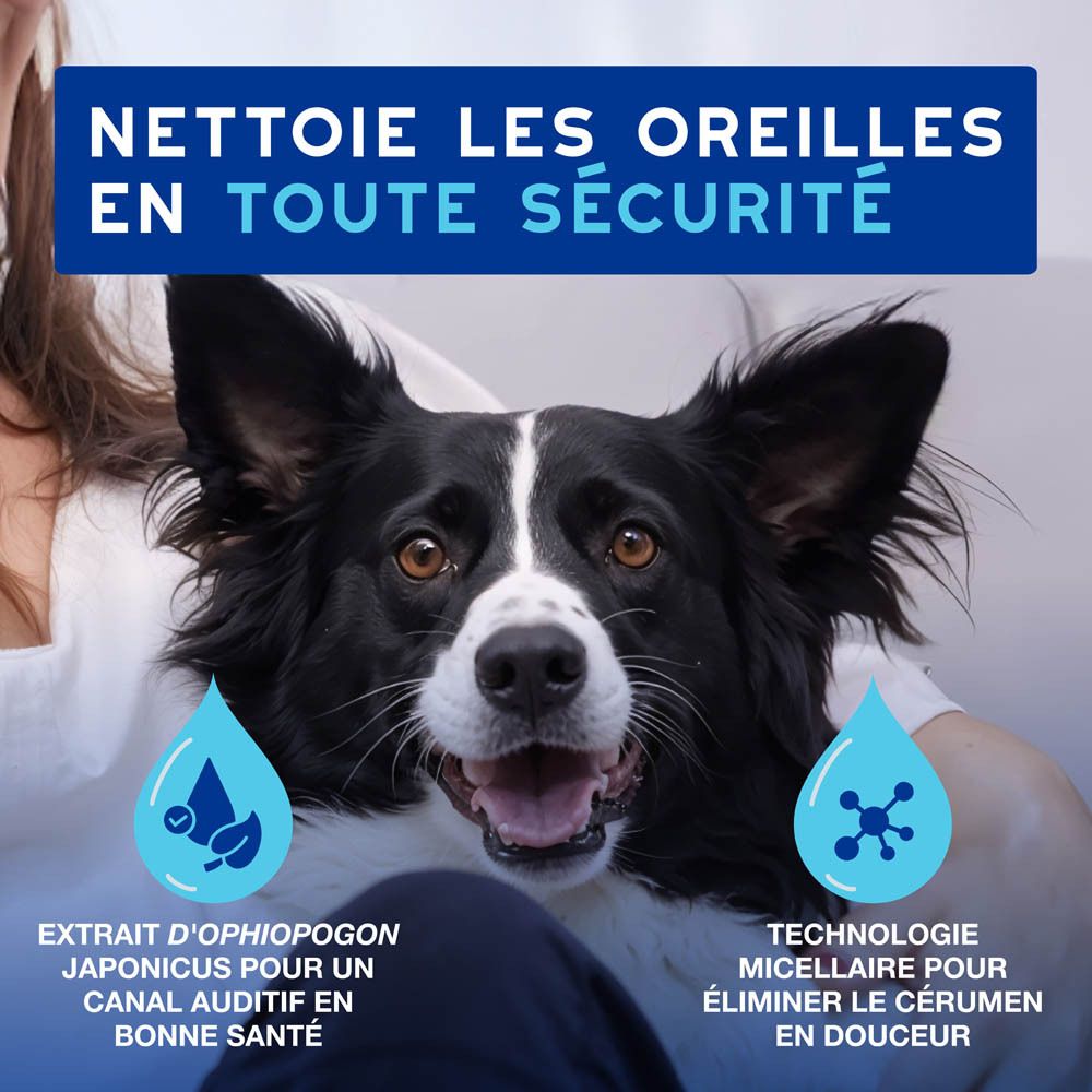 Chien avec gouttes. Texte: Nettoie en toute sécurité et en douceur l'oreille.