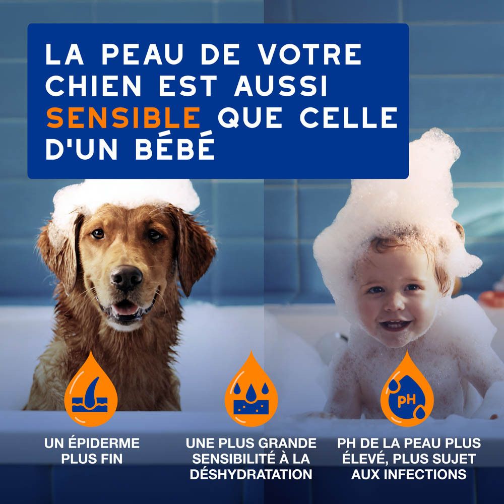 Chien avec une serviette. Texte: DOUXO Skin & Coat spa. Le shampooing ultra-sûr pour votre chien.