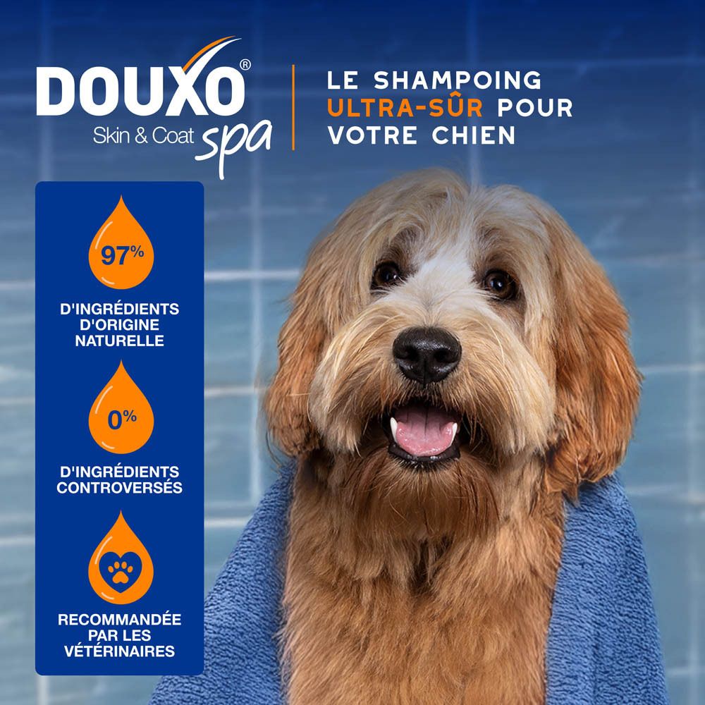 Chien avec de la mousse. Texte: Pour un moment de soin et de plaisir avec votre animal.