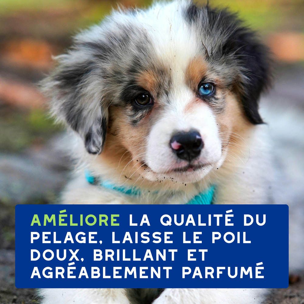 Dos du flacon bleu avec pompe verte. Texte.