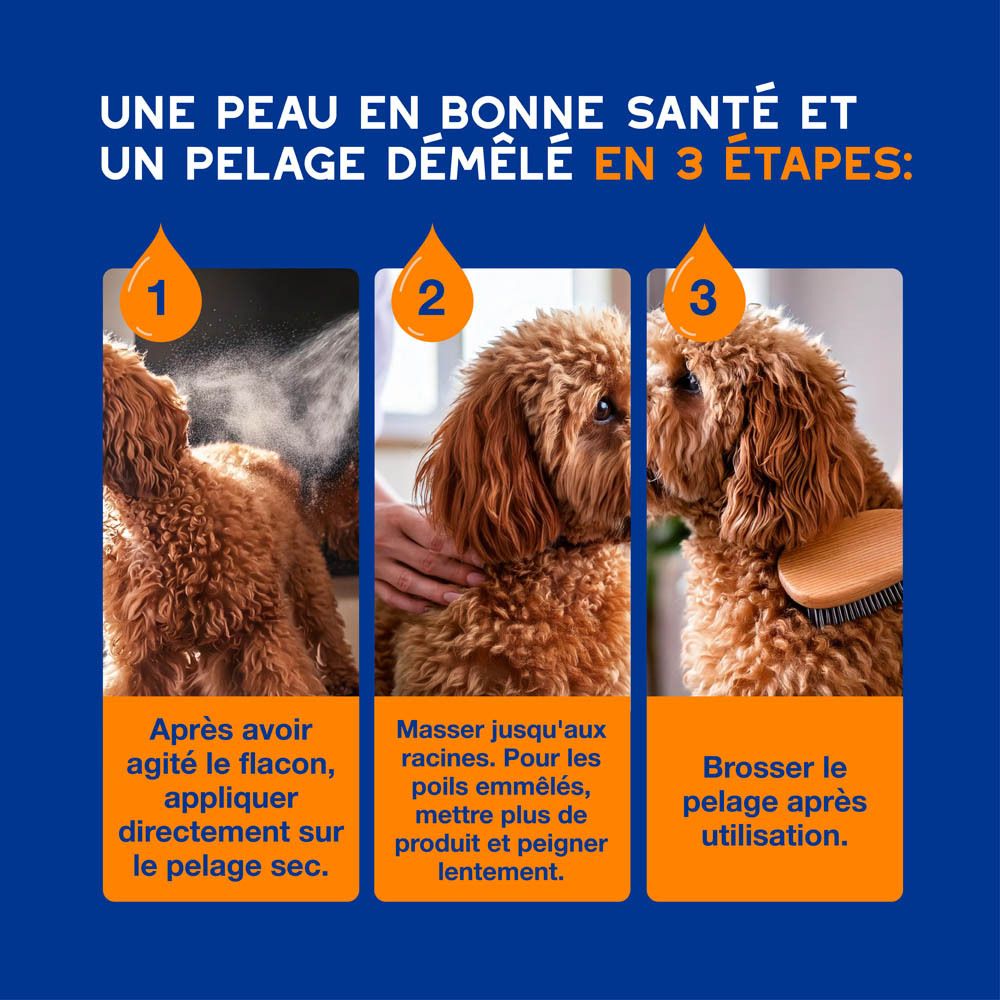 Différents produits. Texte: Une routine de soin complète DOUXO Skin & Coat spa. Ultra-safe.