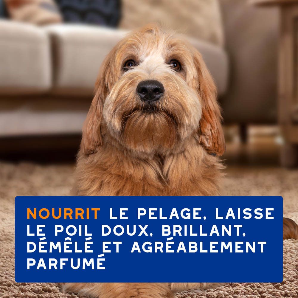 Dos du flacon bleu avec vaporisateur. Texte multilingue. DOUXO Skin & Coat spa. Ultra-safe Spray. Démêlant.