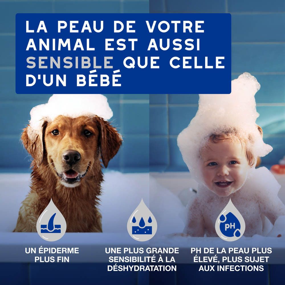 Chien et bébé dans des baignoires. Texte : La peau de votre animal est sensible.