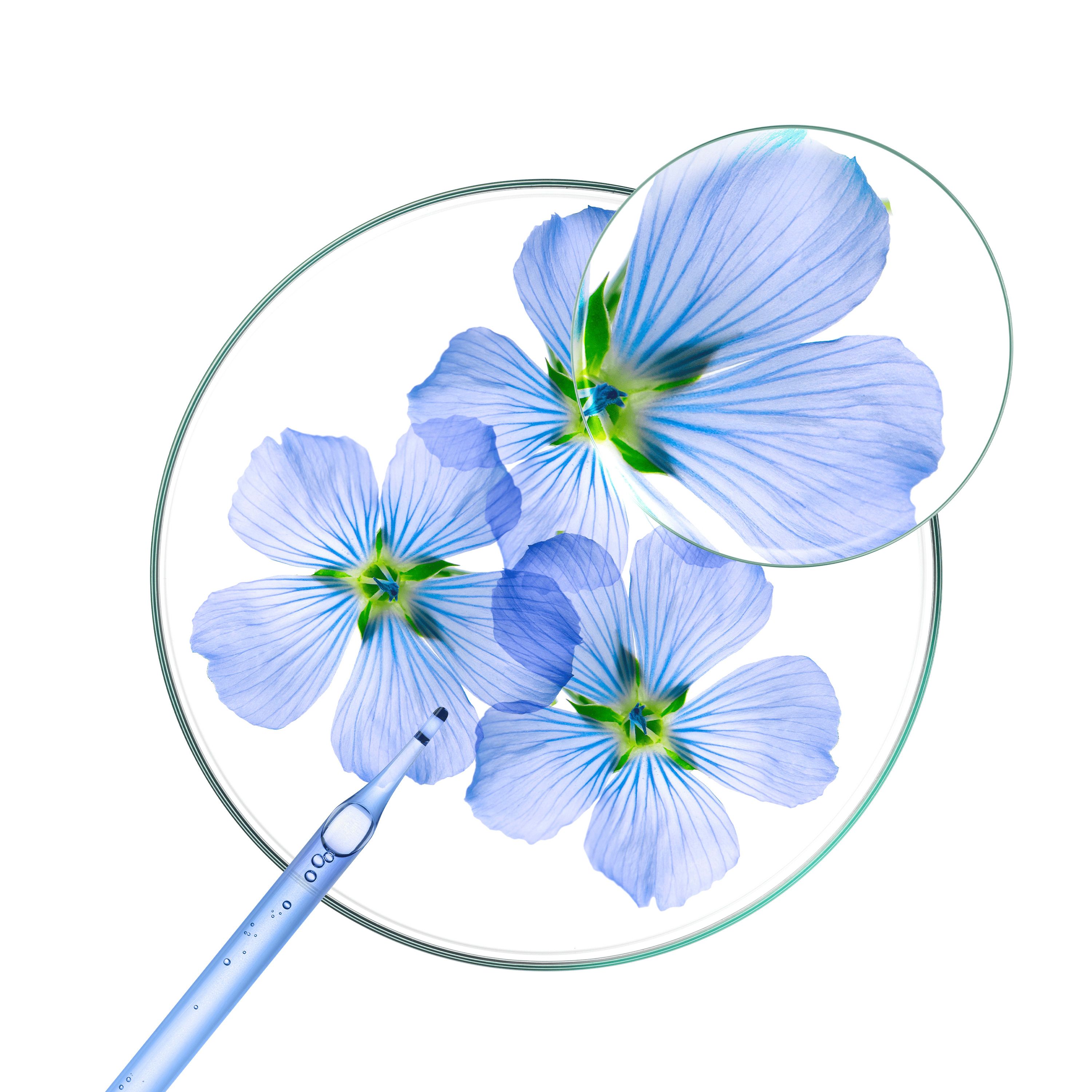 Spray bleu avec bouchon blanc. Inscription: Klorane, Volume Shampoing Sec Texturisant, 99% ingrédients naturels.