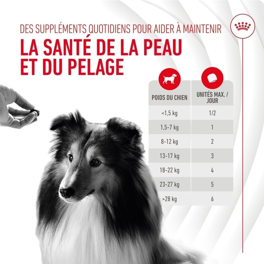Tableau de dosage de suppléments pour chiens pour la santé de la peau et du pelage.
