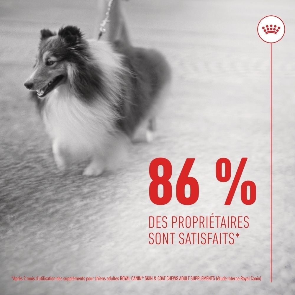 Un chien se tient sur un tapis. À côté, il est indiqué "86% des propriétaires sont satisfaits".