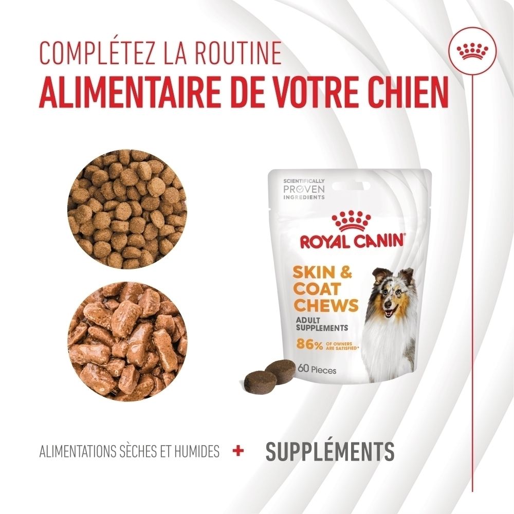 Royal Canin Skin & Coat Chews pour chiens. Comprend un paquet de 60 pièces et deux cercles de nourriture pour chiens.