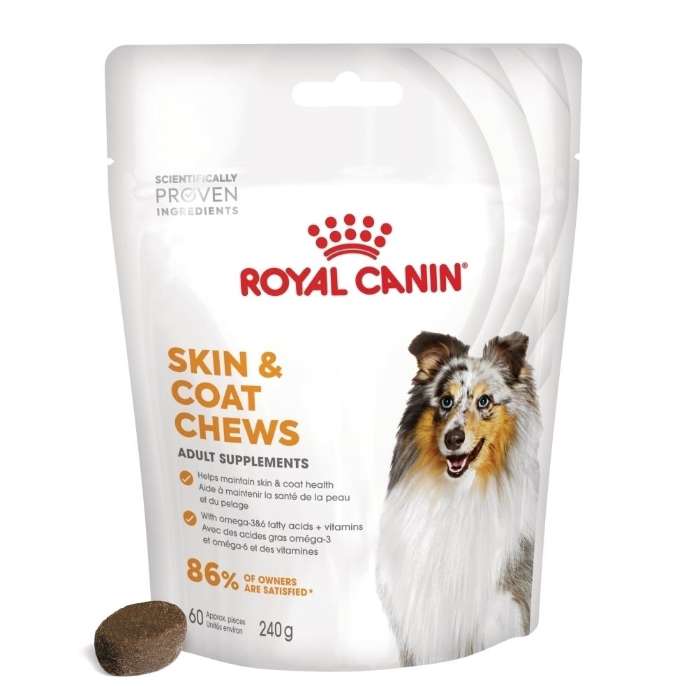 Royal Canin Skin & Coat Chews pour chiens. Sachet de 240g et une friandise individuelle.
