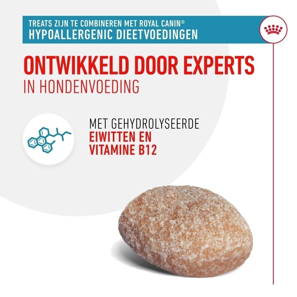 Een enkele, bruine, ovale hondenkoekje met een licht ruw oppervlak.