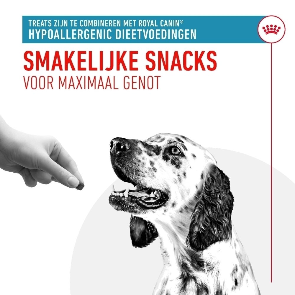 Een hond wordt door een hand met een traktatie gevoerd. De hond is een dalmatiër.