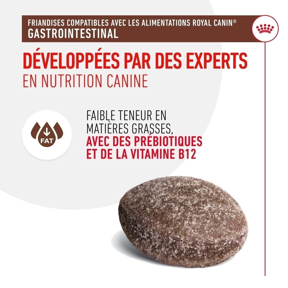 Une seule croquette pour chien, ronde et de texture mouchetée.