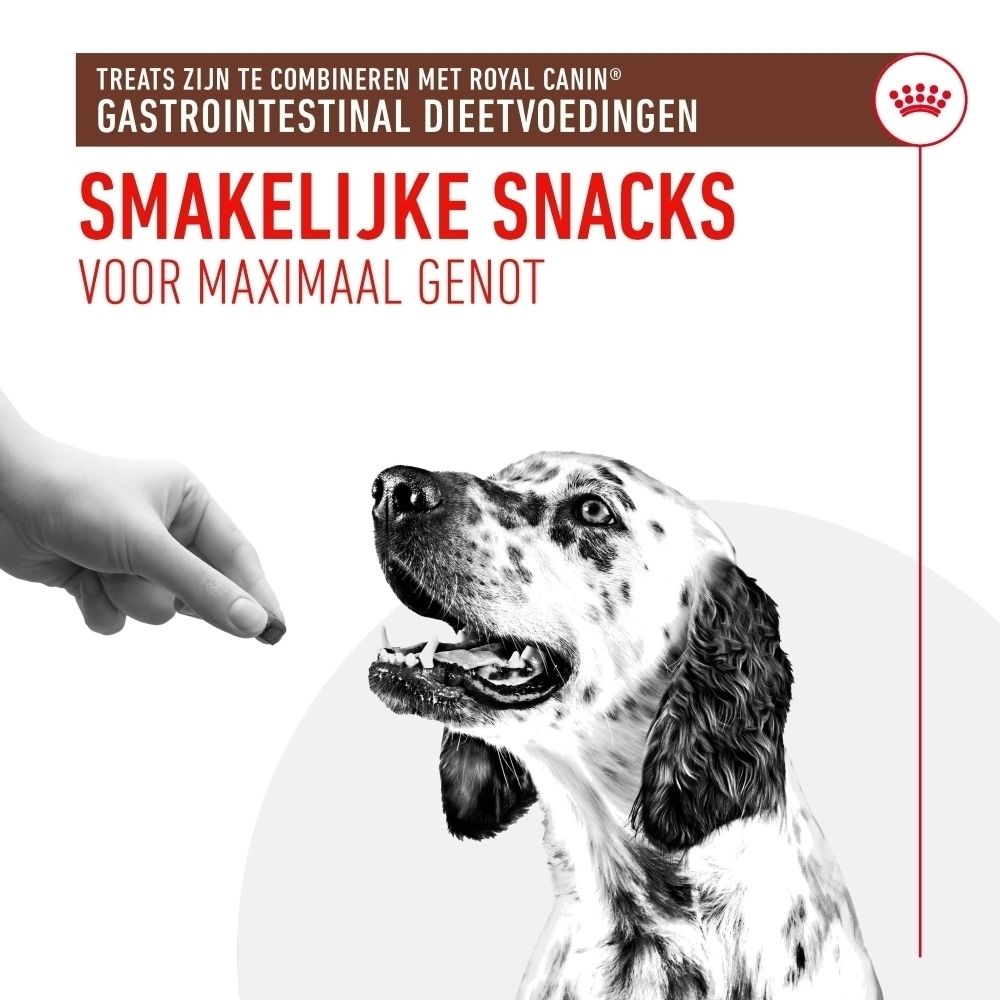 Een hond wordt door een hand met een snack gevoerd. Tekst: "Smakelijke Snacks"