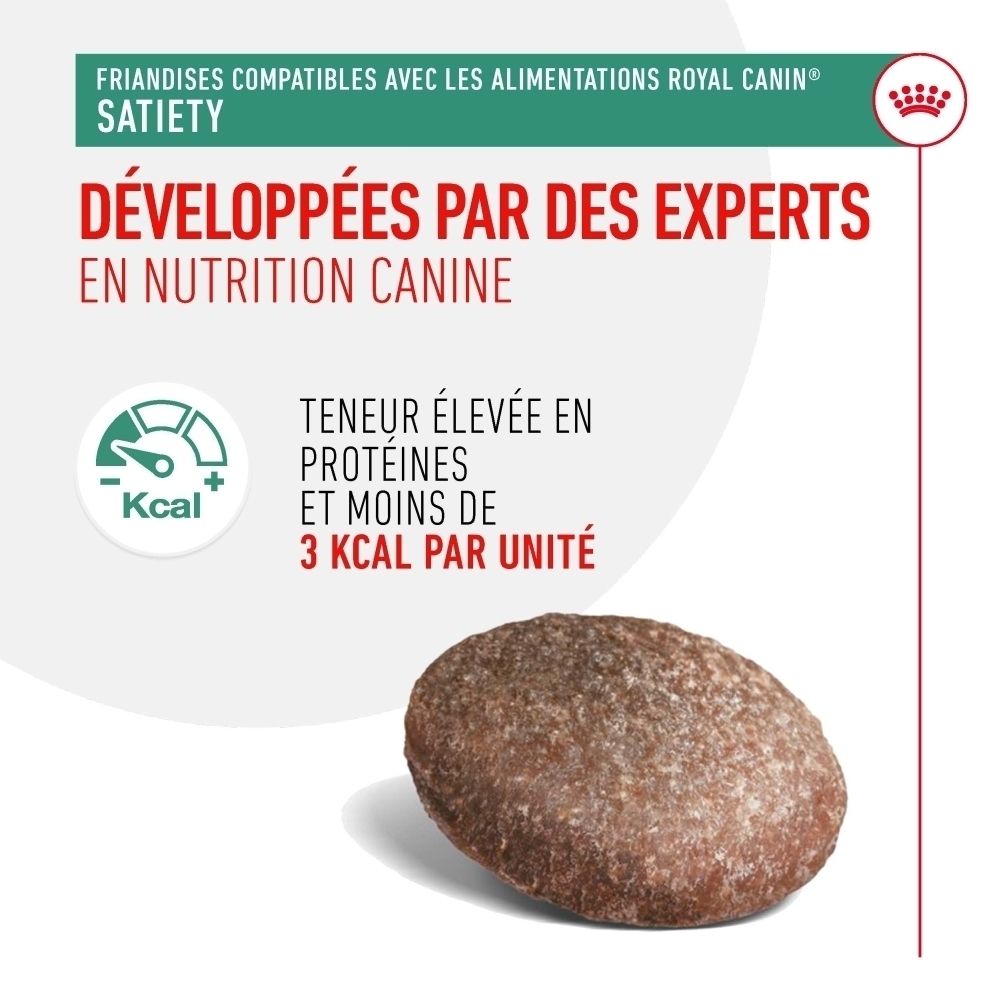 Une seule croquette pour chien, riche en protéines et faible en calories.