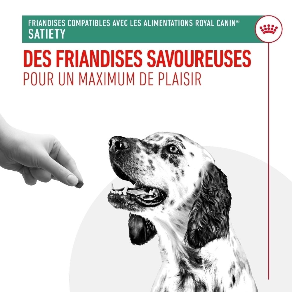 Un chien est nourri avec une friandise par une main. Texte : 'Des Friandises Savoureuses'.